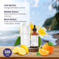thumbnail image 2 of Aceites esenciales LEVONA SCENT Blue Tranquility 120 ml para difusor, 2 of 6