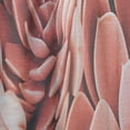 thumbnail image 4 of Designart 'Red Toned Succulent' Mid-Century Modern Curtain Panel, 4 of 5