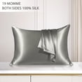 thumbnail image 1 of Funda de almohada de seda de 19 Momme PiccoCasa 1 Pc con cremallera oculta estándar/reina gris 20" x 26", 1 of 7