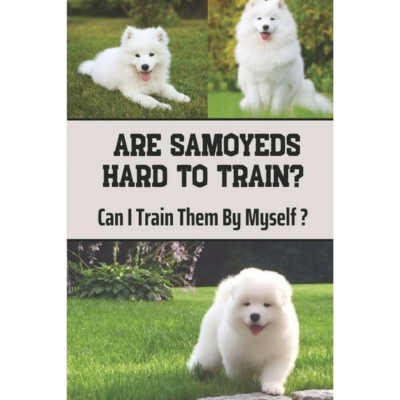 Are Samoyeds Hard To Train?: Can I Train Them By Myself?: Samoyed Training (Paperback)