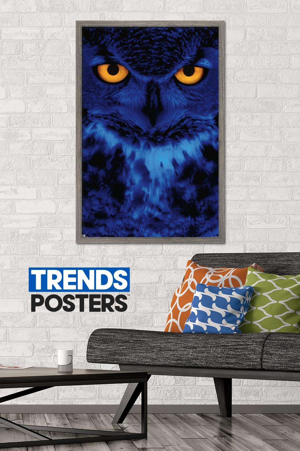 Owl - Eyes Wall Poster, 22.375" x 34", Framed