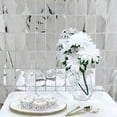 thumbnail image 3 of Balsa Circle Metallic Silver Rectangle 6 feet Foil Tassels Fringe Backdrop Curtains Party, 3 of 8