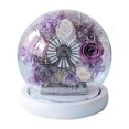 thumbnail image 1 of Decoración de flores eternas, noria rosa, cubierta de vidrio con luz, regalos de cumpleaños, regalos festivos para familiares y amigos, 1 of 5