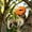 orange283, variant on Dinosaur Head Bird Feeder Decoration, Resin Hanging Wildlife Nut Feeder For Backyard Trees, Funny T Rex Outdoor Garden Chipmunk Feeding Decor
