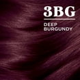 thumbnail image 3 of Clairol Nice 'N Easy Permanent Hair Color, 3BG Deep Burgundy, 1 Application, Hair Dye, 3 of 7