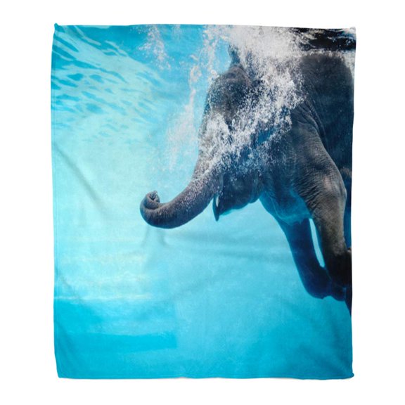 SIDONKU Throw Blanket Warm Cozy Print Flannel Elephant Show Swimming and Blow The Bubbles Out of Trunk Underwater Vivid Blue Comfortable Soft for Bed Sofa and Couch 58x80 Inches