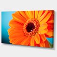 thumbnail image 2 of Orange Daisy Gerbera Flower Close up - Flowers Canvas Wall Artwork, 2 of 3