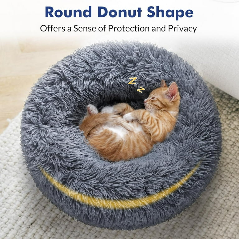 Best Covered Cat Bed for Privacy: Ultimate Cozy Hideouts Revealed