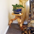 thumbnail image 3 of ZXNYH Tree Stump Side Table, Live Edge Stool, Natural Edge Wood Side Table, Accent Table, 19" Tall, 3 of 7