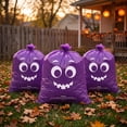 thumbnail image 2 of 2 Pack Halloween Leaf Bags 30X24 Inch Large Outdoor Halloween Decorations Spooky Jack O Lantern Design for Yard Lawn Porch Halloween Party Decor Black, 2 of 3