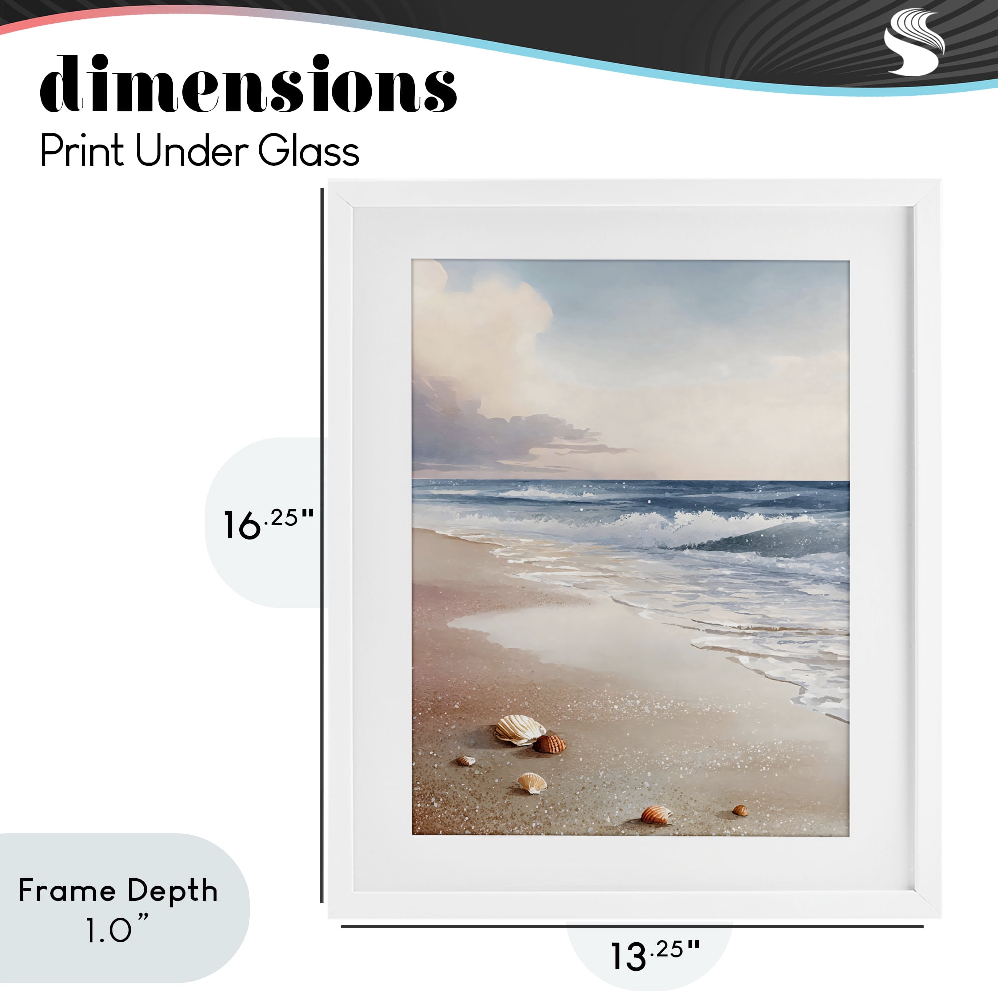 Stupell Industries Washed Up Seashells White Framed Print Under Glass, design by Franklyn Gregory