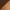 LightBrown, variant on BERANMEY Casual Women's Ballet Flats Shoes Ankle Elastic Criss-Cross Ballet Dress Shoes for Women Pointed Toe Ballet Flat Shoes