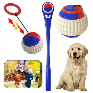 Pet Zone 2550012660 4 IQ Treat Ball Dog Toy for sale online