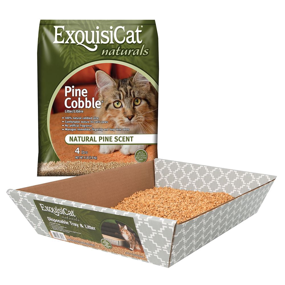 exquisite cat litter