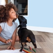 Bona® Multi-Surface Floor Cleaner, for Stone Tile Laminate and Vinyl LVT/LVP 22 Fl Oz