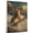 Afghan Hound, variant on Plott Hound Dog Playing Surfboard Stretched Canvas Size 8x12 – Sports Dog, Perfect for Animal Lovers, Plott Hound Dog Canvas, Surfboard Canvas Size Wall Art