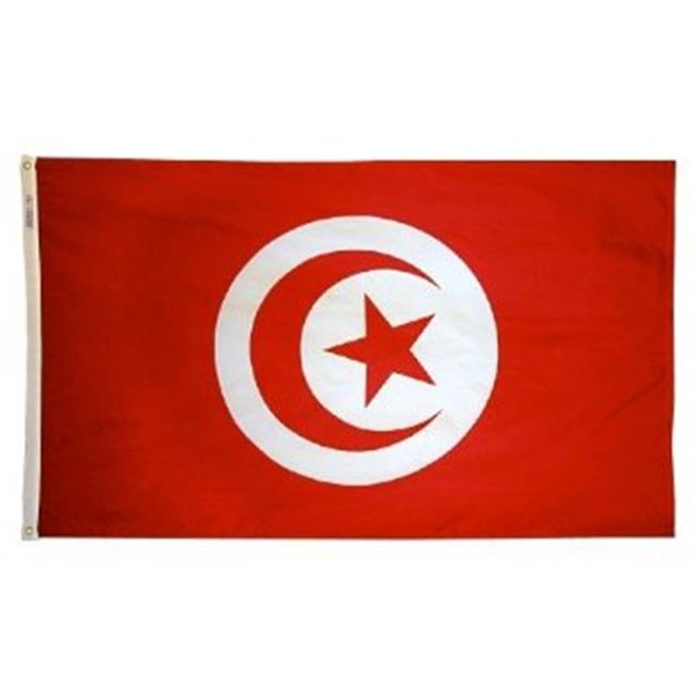 Drapeau de la Tunisie Nyl-Glo 4 Pi X 6 Pi
