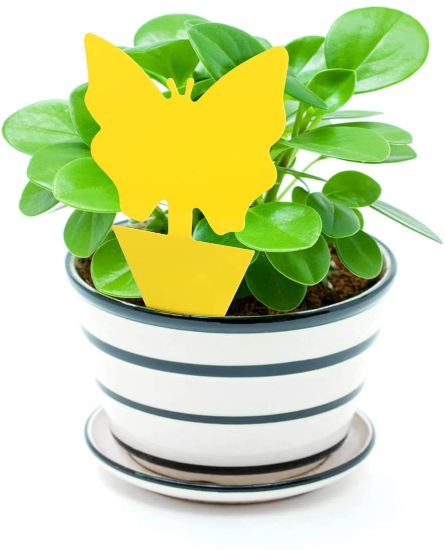 10PCS Sticky Traps, Sticky Fruit Fly and Gnat Trap Yellow Sticky Bug