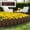 Coffee, variant on Plastic Garden Fence Picket Edging for Lawns Flowerbeds Borders Decorative Yard Border - 22 x 7 Inch Modular Landscape Barrier for Plants Outdoor Patio