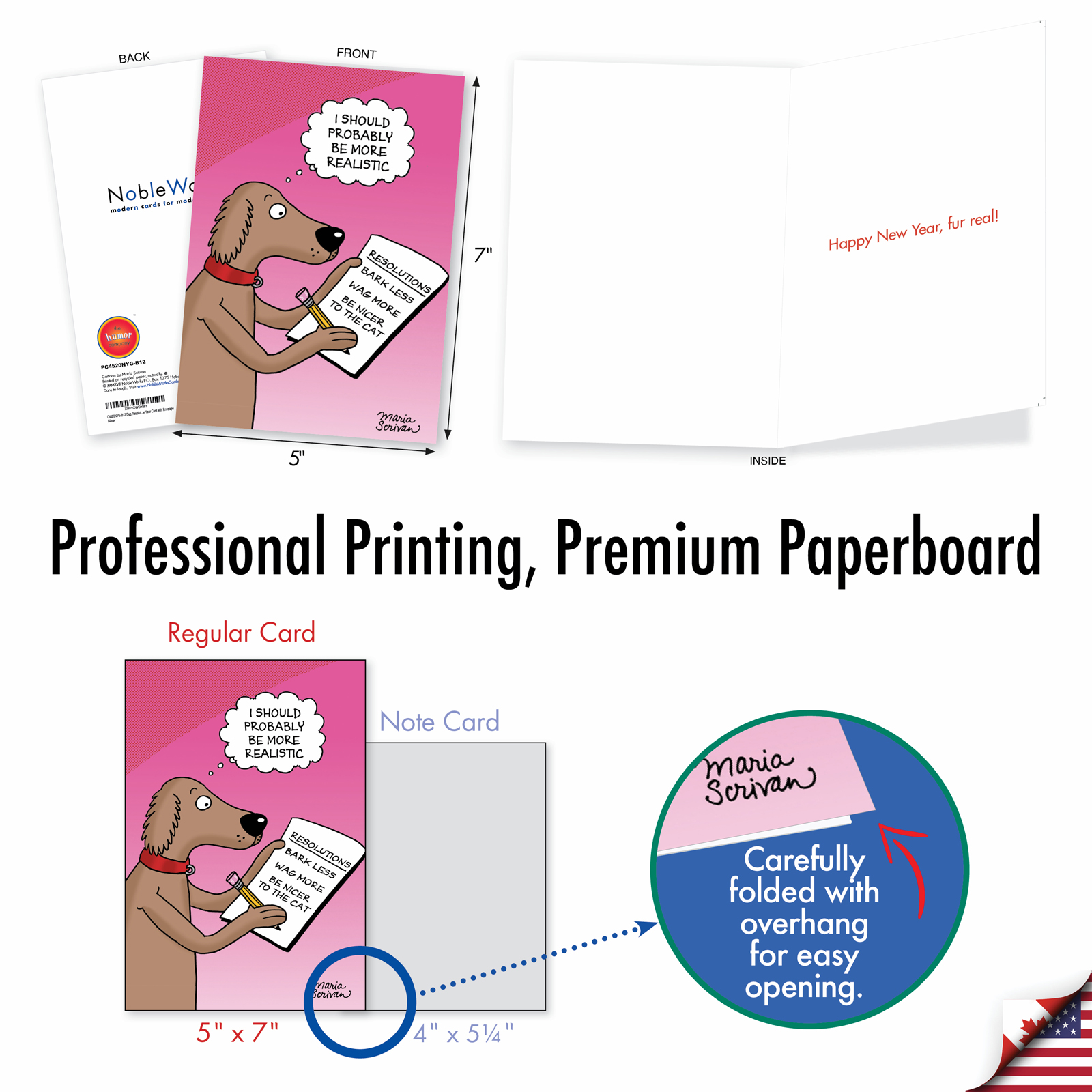 12 New Year Greeting Cards (1 Design, 12 Cards) - Dog Resolutions C4520NYG-B12