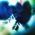 thumbnail image 3 of Pfrommer, Sven 12x12 Black Modern Framed Museum Art Print Titled - Evergreen No. 2, 3 of 5