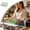 Green, variant on Extra Large Silicone Freezer Tray with Lid, 4-Cavity Extra Large Mold for Soup, Broth, Meal Prep and Ice Cubes, Stackable