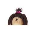 thumbnail image 5 of American Girl Claudie's Dog Dizzy Dot, 5 of 5