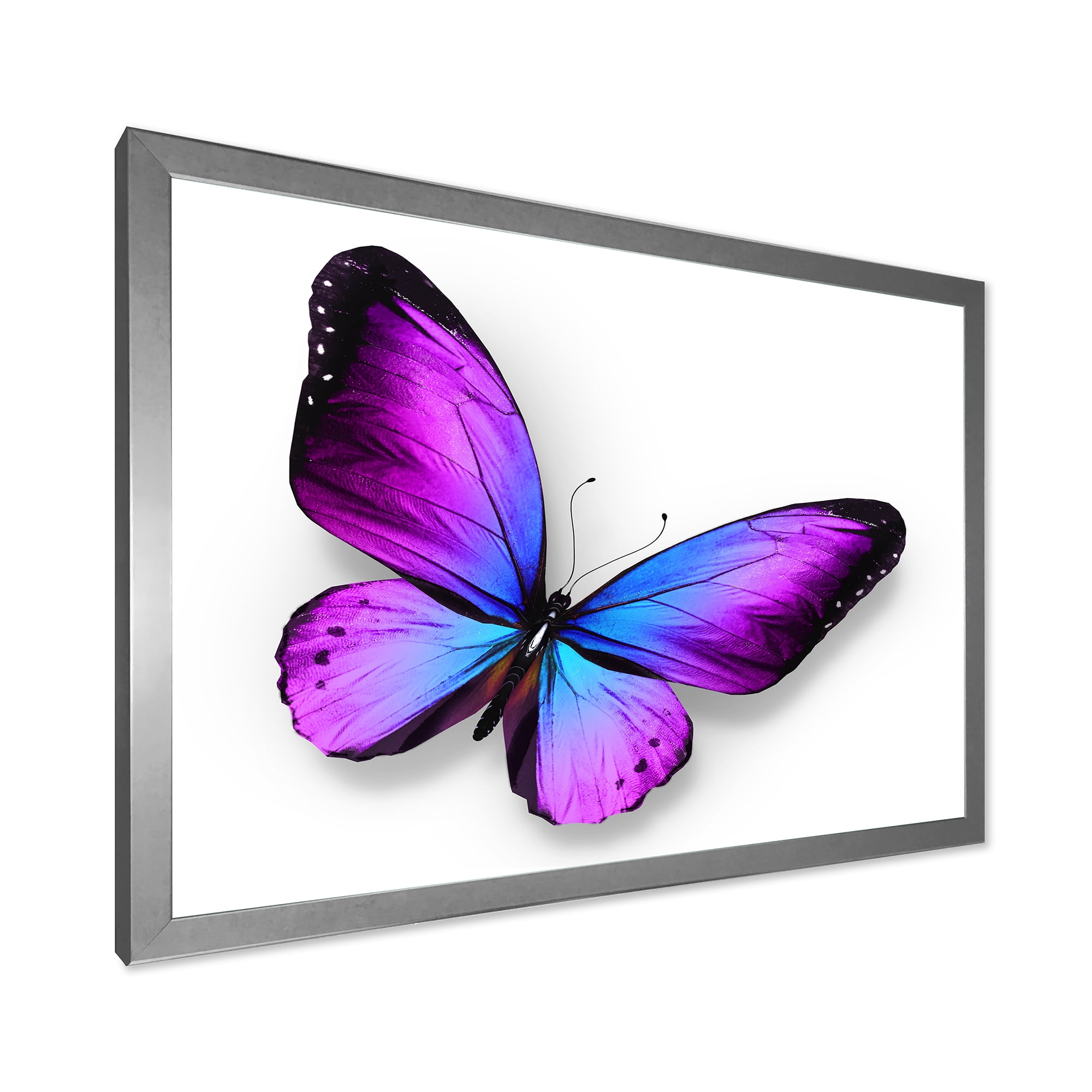 Designart 'Blue and Violet Butterfly' Modern Framed Art Print