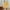 Yellow, variant on Linen Athletic Shorts for Women Workout Gym Shorts Loose Bermuda Shorts Trendy Causal Short Pants with Pockets