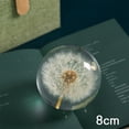 thumbnail image 3 of Bola de Cristal de Diente de León Cateissary de Resina 8 cm, 3 of 6