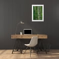 thumbnail image 3 of Miller, Anna 17x24 White Modern Wood Framed Museum Art Print Titled - Florida-Bamboo Grove Trunks, 3 of 4