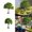 2Pcs green tree sand table scene Under $5 a1, variant on Uscallm Miniature Simulation Trees for Diorama, Realistic Iron Wire Bonsai Model, Handmade Scenery Base with Adhesive for Sand Table, DIY Craft Projects