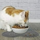 thumbnail image 5 of Estera del animal doméstico del gato del perro de la estera del alimentador del Pvc, 5 of 5