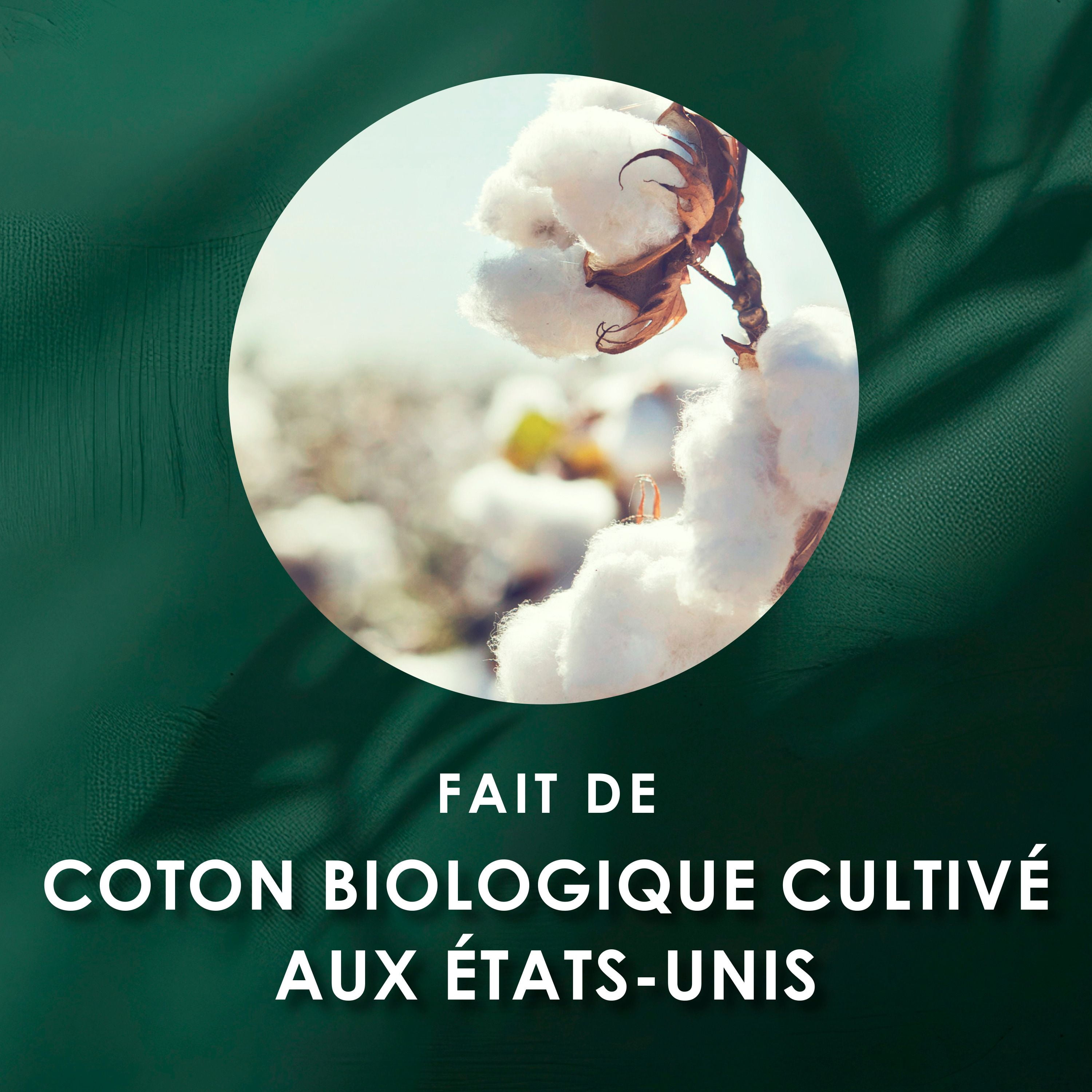Serviettes menstruelles L. ultraminces pour femmes, degré d’absorption super, voile supérieur en coton biologique, avec ailes 42 Unité