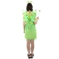 thumbnail image 2 of HPO Adult Women's Green Color Fairy Costume, Synthetic Fabric Costume (Large), 2 of 5