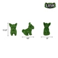 thumbnail image 3 of Lush Estate Turf Topiary French Bulldog, 9", Lifelike Artificial Grass Decor, 3 of 6
