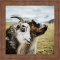 thumbnail image 4 of 28x28 Brown Rustic Wide Barnwood Picture Frame - UV Acrylic, Foam Board Backing, Hanging Hardware, 4 of 8