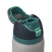 Owala FreeSip Stainless Steel Water Bottle, 32oz, Gray Whale