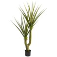 thumbnail image 1 of Nearly Natural 6346 5 Po Plante Artificielle de Yucca, 1 of 1