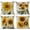 Plant 12, variant on Set of 4 Sunflower Decorative Throw Pillow Covers 16x16 Inch Plant Pillow Covers Linen Square Pillow Cases Summer Flower Outdoor Sofa Couch Home Bed Decor Cushion Covers (16 by 16)