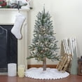 thumbnail image 2 of Northlight 4ft Pre-Lit Flocked Alpine Artificial Christmas Tree Clear Lights, 2 of 7