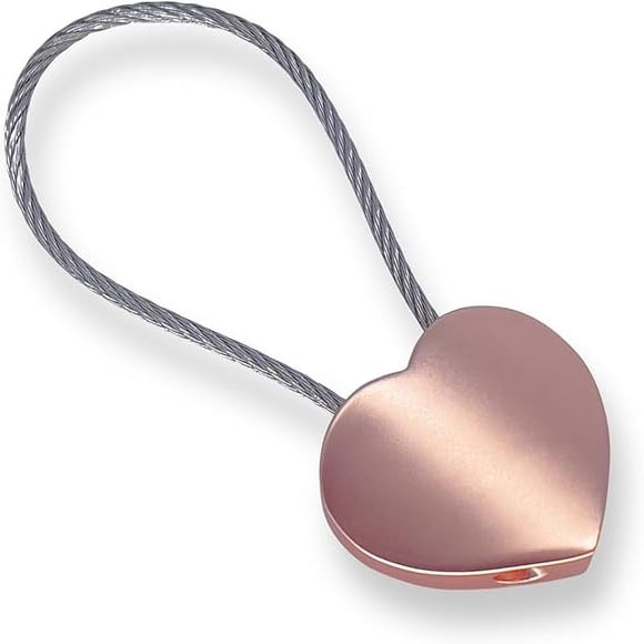 Heart Charm KeyChain With Stainless Steel Wire - Stylish Key chain for Women and Men, Gift Idea