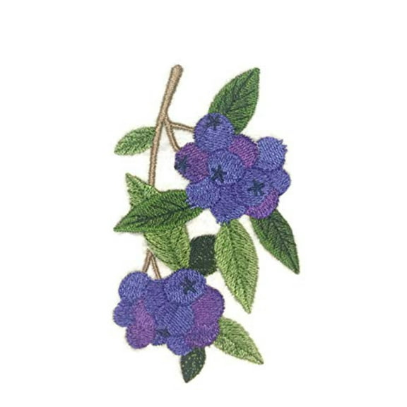 Nature Weaved in Threads, Fruits[Blueberry ] [] Embroidered Iron on/Sew Patch [5"x"3."] …