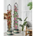 thumbnail image 5 of 2 Pcs Garden Trellis for Climbing Plants, 6.2 Ft Rustproof Metal Pipe with Heavy Duty Plastic Coated, Garden Outdoor Indoor Potted Plant Support, Obelisk Garden Trellis for Climbing Vine, 5 of 9