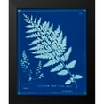 thumbnail image 2 of Unknown 12x14 Black Modern Framed Museum Art Print Titled - Cyanotype Ferns IV, 2 of 5