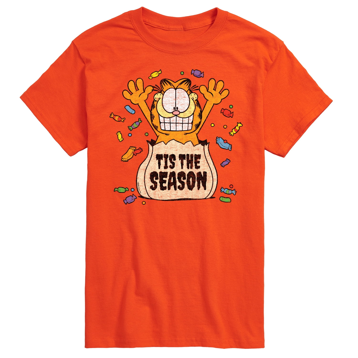 Garfield Tis The Season Men's Short Sleeve Graphic TShirt