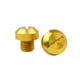 thumbnail image 1 of Riwesomey 2 piezas Universal CNC proceso espejo retrovisor tapones para orificios tornillos derecho izquierdo pernos impermeables cubiertas tapas adaptador Vehículos, repuestos y accesorios Mis Oro Riwesomey VI015852-01, 1 of 6