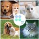 thumbnail image 5 of 4 tapas enlatadas para perros y gatos y 4 cucharas, comida enlatada 3 en 1 para mascotas en tapas universales de silicona de grado alimenticio para latas de mascotas (rosa), 5 of 5