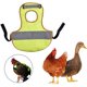 thumbnail image 2 of Chaleco de pato de pollo ZHAOCHENG Ropa de pollo reflectante Delantal de silla de montar para gallina, 2 of 5