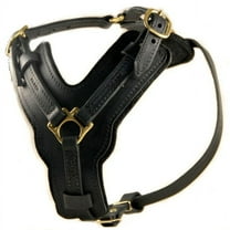 Dean & Tyler Leather Dog Harness The Victory Black Medium